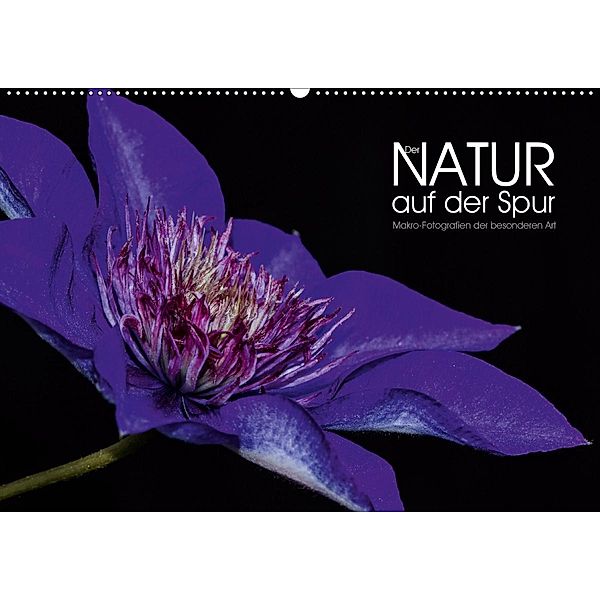 Der Natur auf der Spur - Makro-Fotografien der besonderen Art (Wandkalender 2020 DIN A2 quer), Dirk Vonten