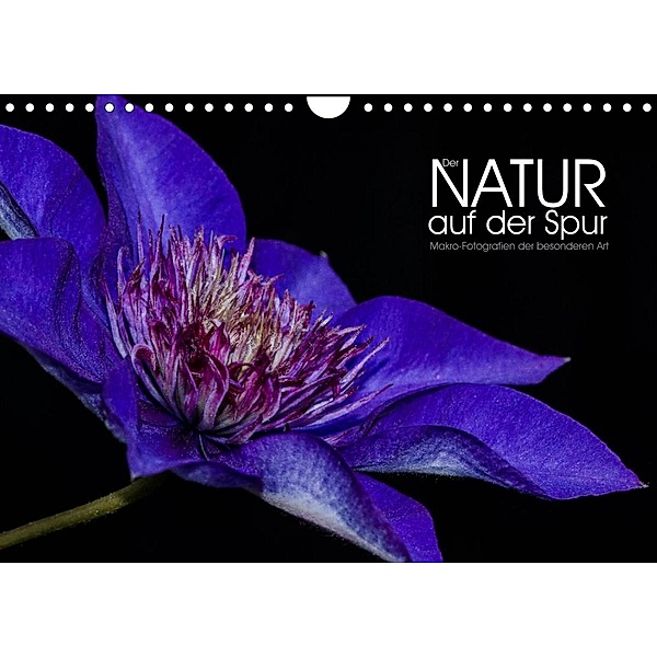 Der Natur auf der Spur - Makro-Fotografien der besonderen Art (Wandkalender 2023 DIN A4 quer), Dirk Vonten