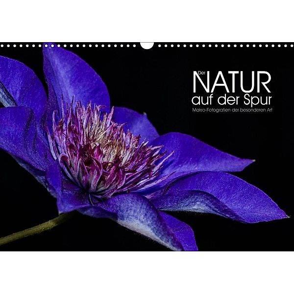 Der Natur auf der Spur - Makro-Fotografien der besonderen Art (Wandkalender 2023 DIN A3 quer), Dirk Vonten