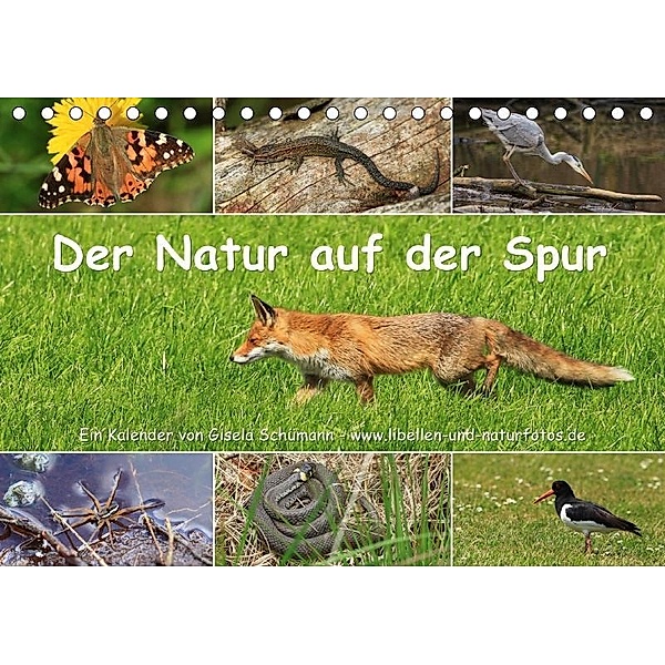 Der Natur auf der Spur (Tischkalender 2017 DIN A5 quer), Gisela Schümann