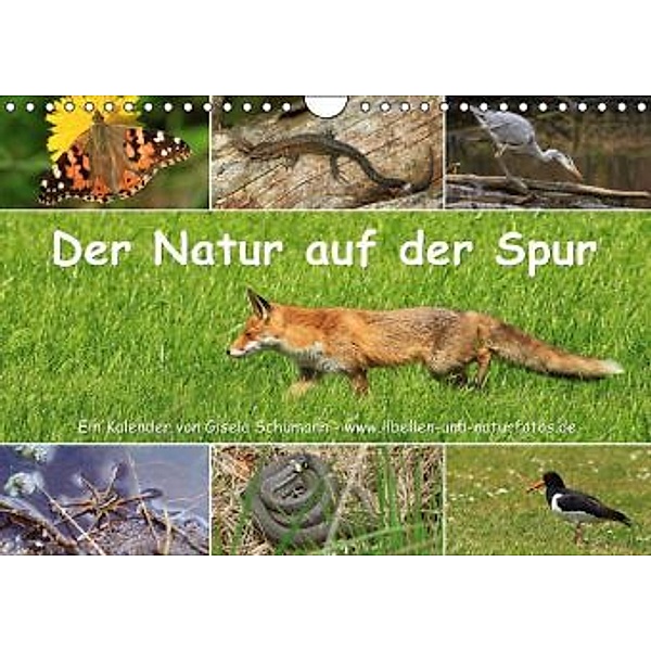 Der Natur auf der Spur (Wandkalender 2015 DIN A4 quer), Gisela Schümann