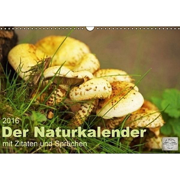 Der Naturkalender mit Zitaten und Sprüchen (Wandkalender 2016 DIN A3 quer), Angela Dölling