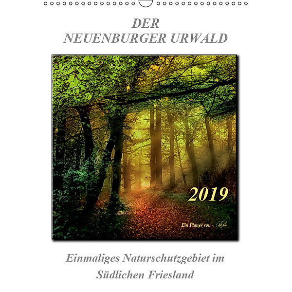 Der Neuenburger Urwald (Wandkalender 2019 DIN A3 hoch), Peter Roder