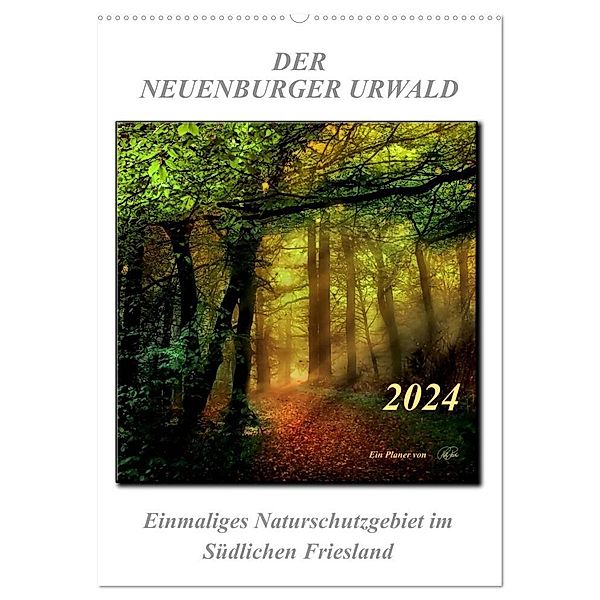 Der Neuenburger Urwald (Wandkalender 2024 DIN A2 hoch), CALVENDO Monatskalender, Peter Roder