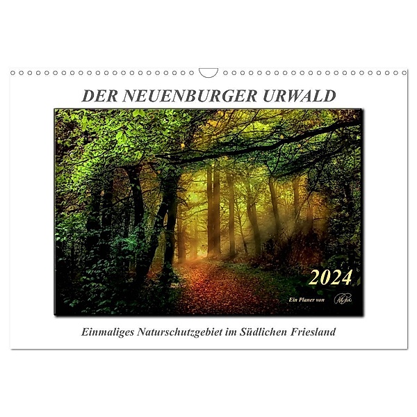 Der Neuenburger Urwald (Wandkalender 2024 DIN A3 quer), CALVENDO Monatskalender, Peter Roder