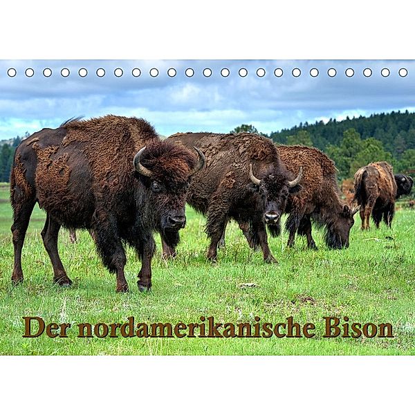 Der nordamerikanische Bison (Tischkalender 2023 DIN A5 quer), Dieter Wilczek