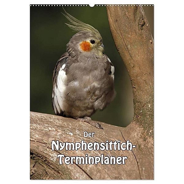 Der Nymphensittich-Terminplaner (Wandkalender 2024 DIN A2 hoch), CALVENDO Monatskalender, Antje Lindert-Rottke