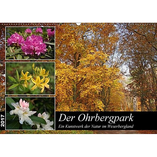 Der Ohrbergpark (Wandkalender 2017 DIN A2 quer), Antje Lindert-Rottke