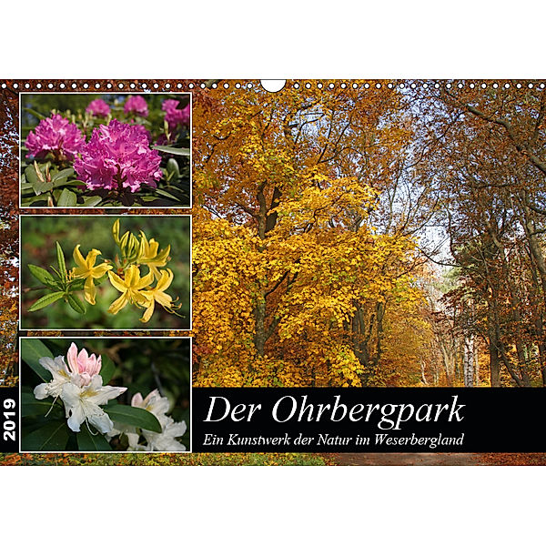 Der Ohrbergpark (Wandkalender 2019 DIN A3 quer), Antje Lindert-Rottke