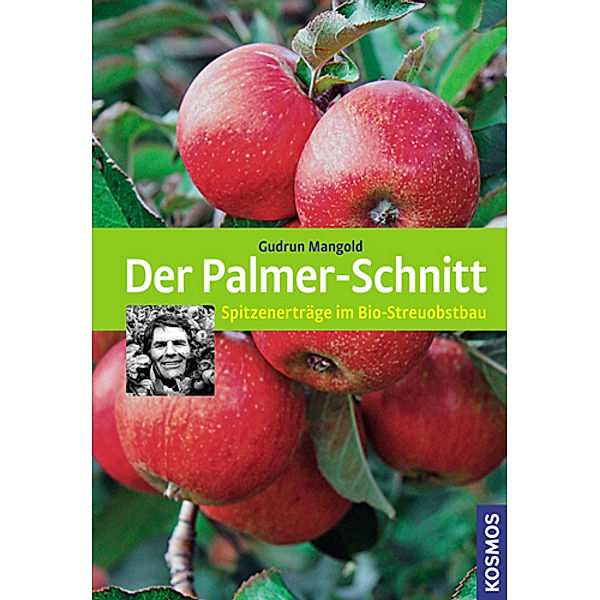 Der Palmer-Schnitt, Gudrun Mangold