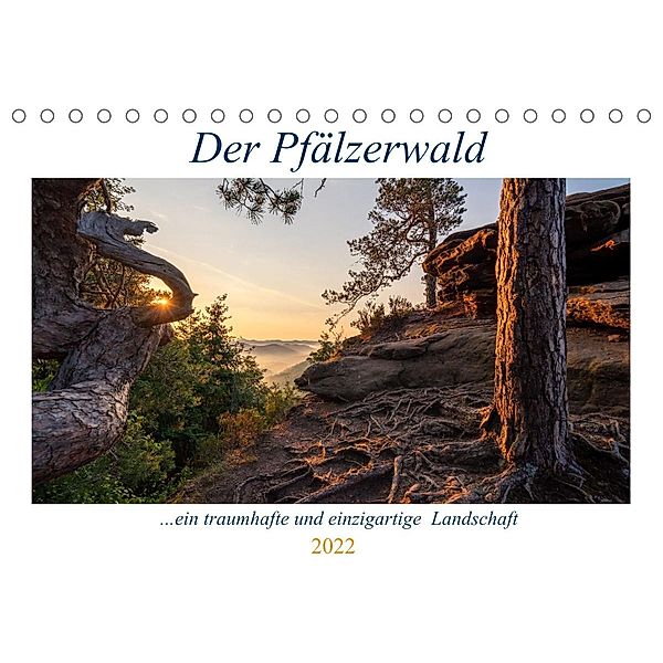 Der Pfälzerwald (Tischkalender 2022 DIN A5 quer), Christian Ringer