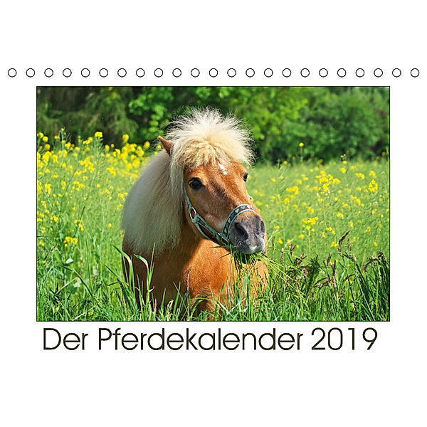 Der Pferdekalender (Tischkalender 2019 DIN A5 quer), Angela Dölling