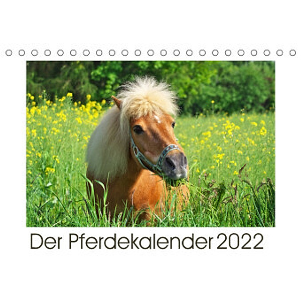 Der Pferdekalender (Tischkalender 2022 DIN A5 quer), AD DESIGN Photo + PhotoArt, Angela Dölling