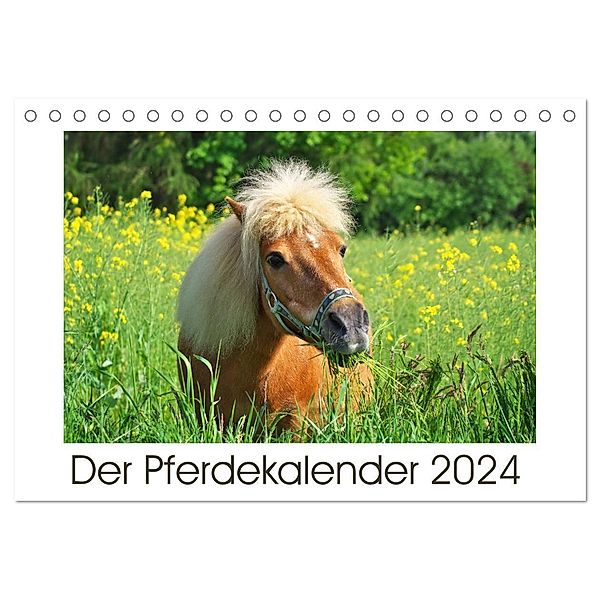 Der Pferdekalender (Tischkalender 2024 DIN A5 quer), CALVENDO Monatskalender, AD DESIGN Photo + PhotoArt, Angela Dölling