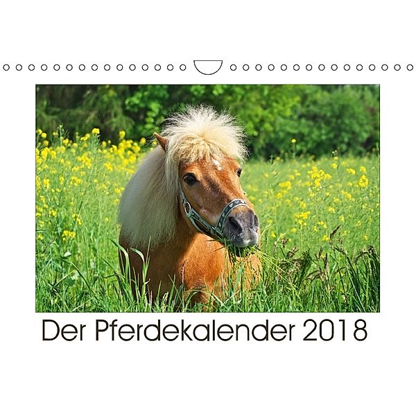 Der Pferdekalender (Wandkalender 2018 DIN A4 quer), Angela Dölling