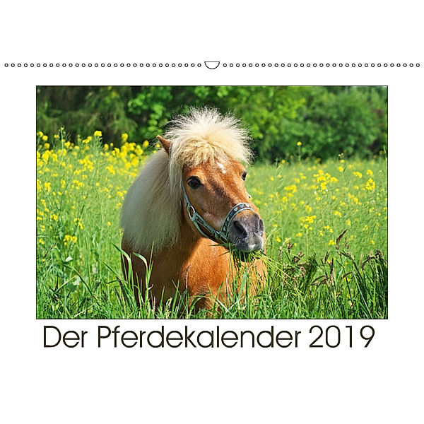 Der Pferdekalender (Wandkalender 2019 DIN A2 quer), Angela Dölling