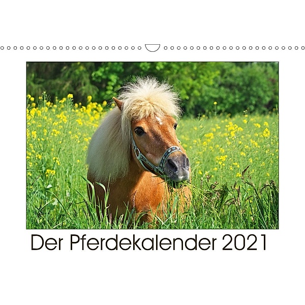 Der Pferdekalender (Wandkalender 2021 DIN A3 quer), Angela Dölling, AD DESIGN Photo + PhotoArt