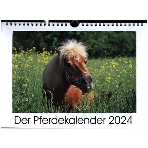 Der Pferdekalender (Wandkalender 2024 DIN A4 quer), CALVENDO Monatskalender, AD DESIGN Photo + PhotoArt, Angela Dölling