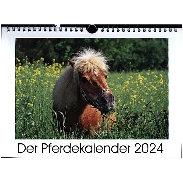 Der Pferdekalender (Wandkalender 2024 DIN A4 quer), CALVENDO Monatskalender, AD DESIGN Photo + PhotoArt, Angela Dölling