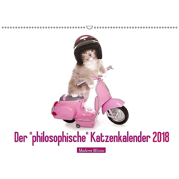Der philosophische Katzenkalender 2018 (Wandkalender 2018 DIN A2 quer), Madame Missou