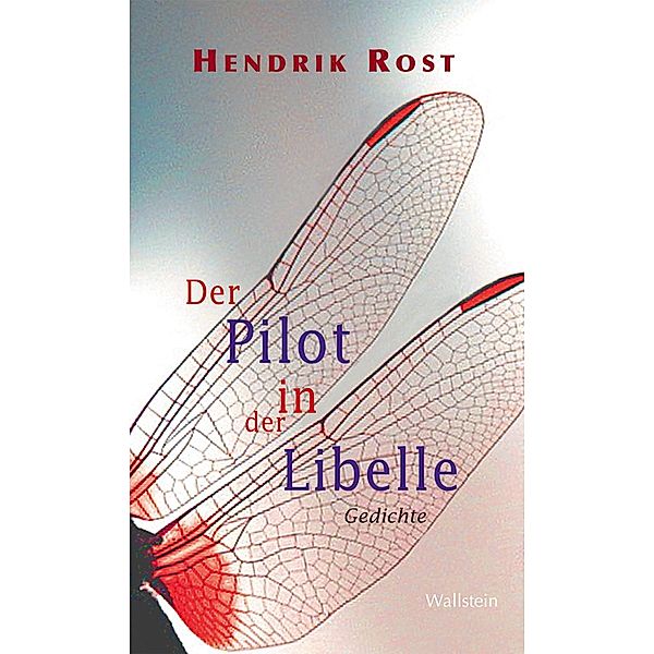 Der Pilot in der Libelle, Hendrik Rost