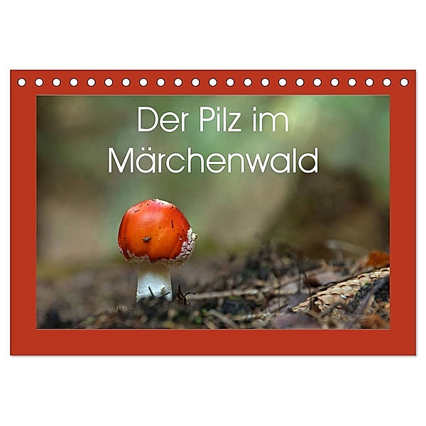 Der Pilz im Märchenwald (Tischkalender 2024 DIN A5 quer), CALVENDO Monatskalender, Flori0