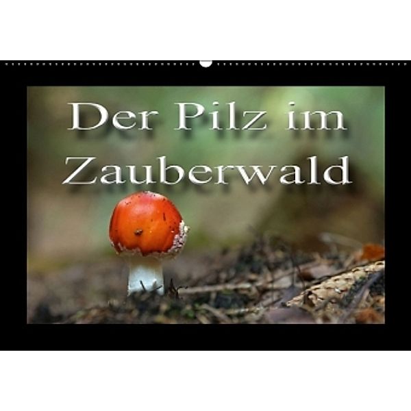 Der Pilz im Märchenwald (Wandkalender 2016 DIN A2 quer), Flori0