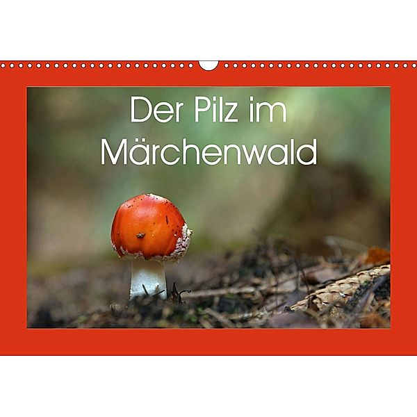 Der Pilz im Märchenwald (Wandkalender 2021 DIN A3 quer), Flori0