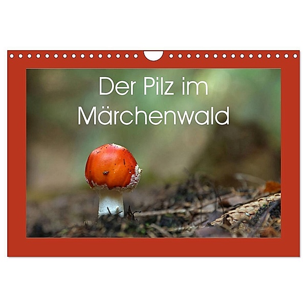 Der Pilz im Märchenwald (Wandkalender 2025 DIN A4 quer), CALVENDO Monatskalender, Calvendo, Flori0