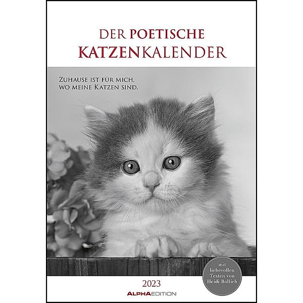 Der poetische Katzenkalender 2023 - Bild-Kalender 23,7x34 cm - mit schönen Zitaten - schwarz-weiß - Wandkalender - mit P