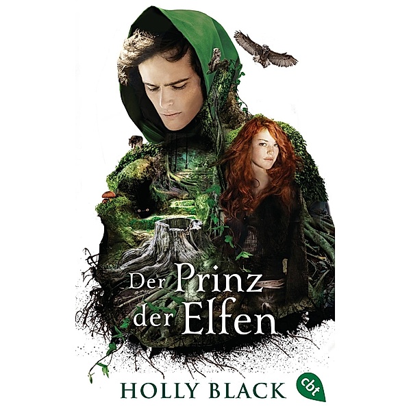 Der Prinz der Elfen, Holly Black