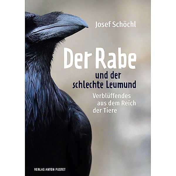 Der Rabe und der schlechte Leumund, Josef Schöchl