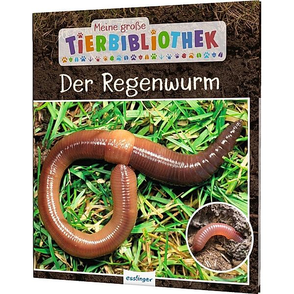 Der Regenwurm / Meine große Tierbibliothek Bd.7, Valérie Tracqui