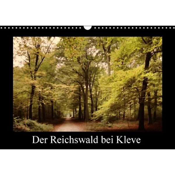 Der Reichswald bei Kleve (Wandkalender 2016 DIN A3 quer), Gudrun Nitzold-Briele