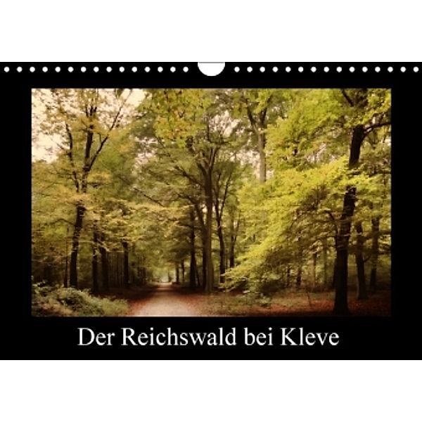 Der Reichswald bei Kleve (Wandkalender 2016 DIN A4 quer), Gudrun Nitzold-Briele