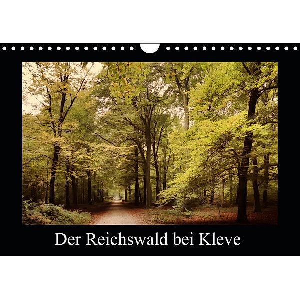 Der Reichswald bei Kleve (Wandkalender 2019 DIN A4 quer), Gudrun Nitzold-Briele