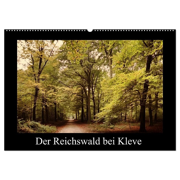 Der Reichswald bei Kleve (Wandkalender 2024 DIN A2 quer), CALVENDO Monatskalender, Gudrun Nitzold-Briele