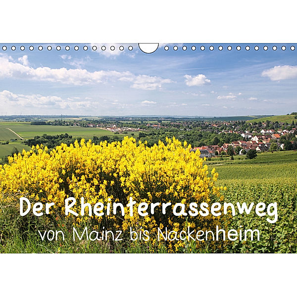 Der Rheinterrassenweg von Mainz bis Nackenheim (Wandkalender 2019 DIN A4 quer), Brigitte Dürr