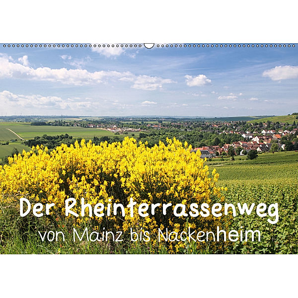 Der Rheinterrassenweg von Mainz bis Nackenheim (Wandkalender 2019 DIN A2 quer), Brigitte Dürr