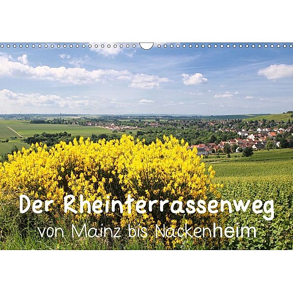 Der Rheinterrassenweg von Mainz bis Nackenheim (Wandkalender 2020 DIN A3 quer), Brigitte Dürr