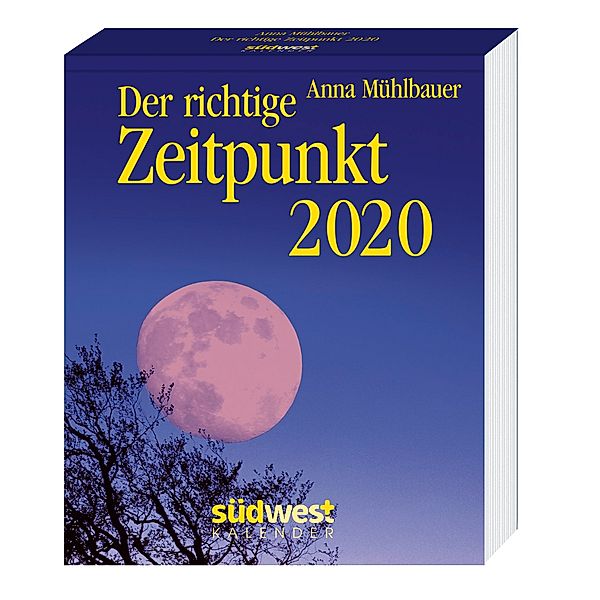 Der richtige Zeitpunkt 2020, Anna Mühlbauer