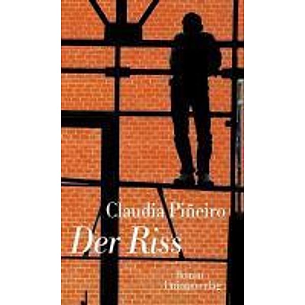 Der Riss, Claudia Piñeiro