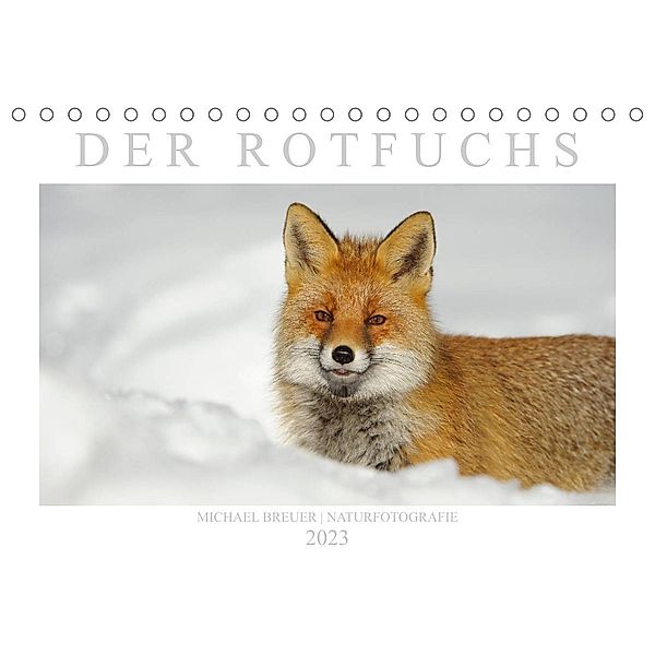 Der Rotfuchs (Tischkalender 2023 DIN A5 quer), Michael Breuer