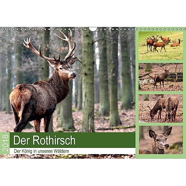 Der Rothirsch - Der König in unseren Wäldern (Wandkalender 2018 DIN A3 quer), Arno Klatt