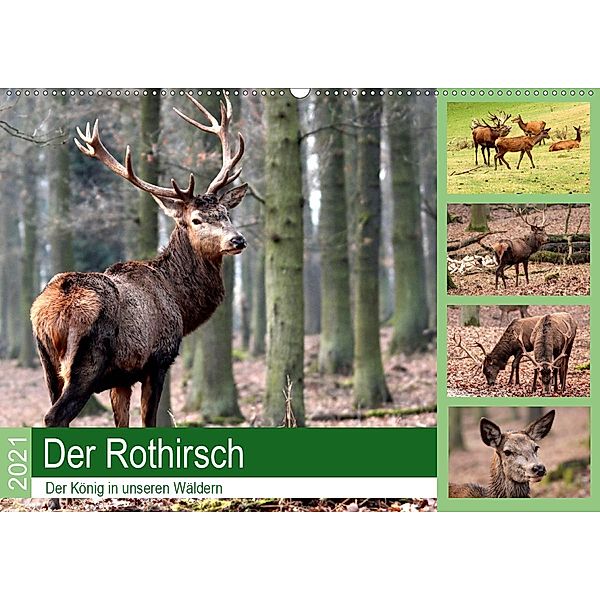 Der Rothirsch - Der König in unseren Wäldern (Wandkalender 2021 DIN A2 quer), Arno Klatt