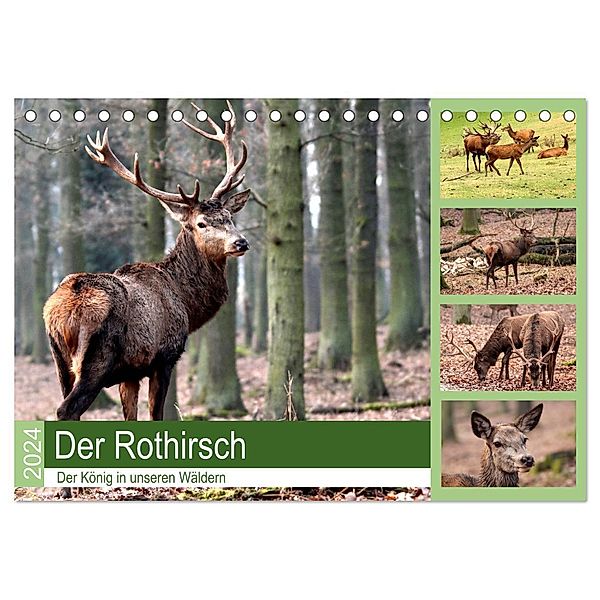 Der Rothirsch - Der König in unseren Wäldern (Tischkalender 2024 DIN A5 quer), CALVENDO Monatskalender, Arno Klatt