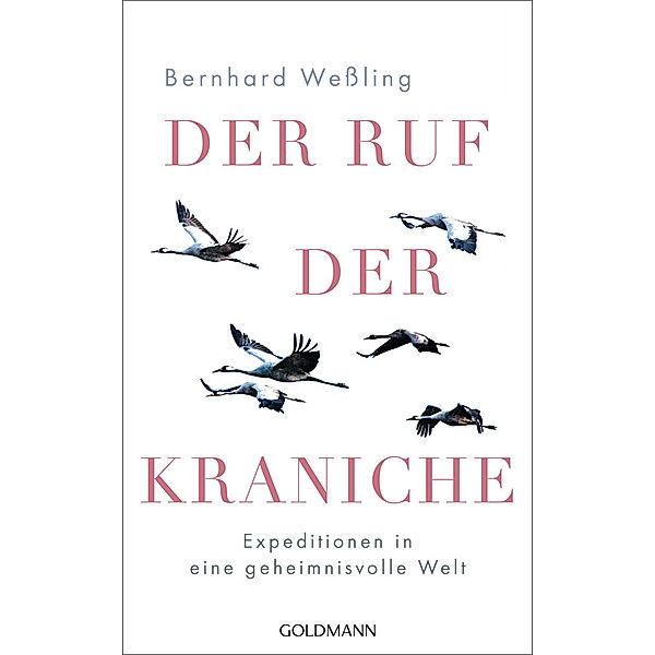 Der Ruf der Kraniche, Bernhard Weßling