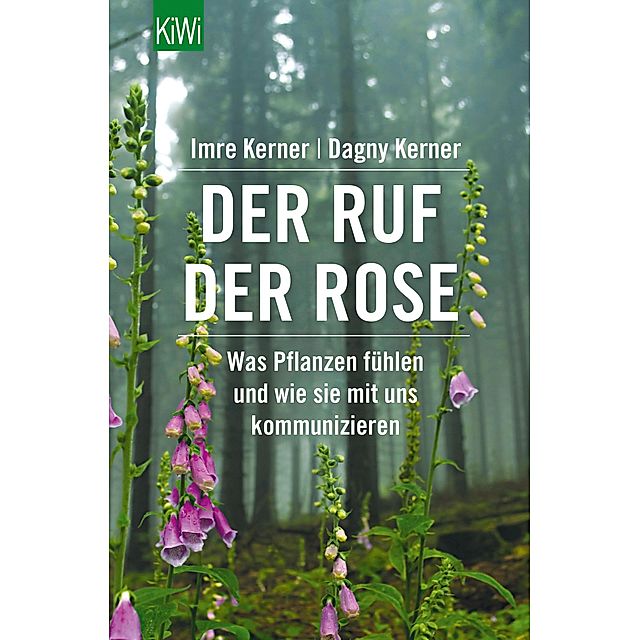 Der Ruf der Rose Buch von Dagny Kerner bei Weltbild.ch bestellen