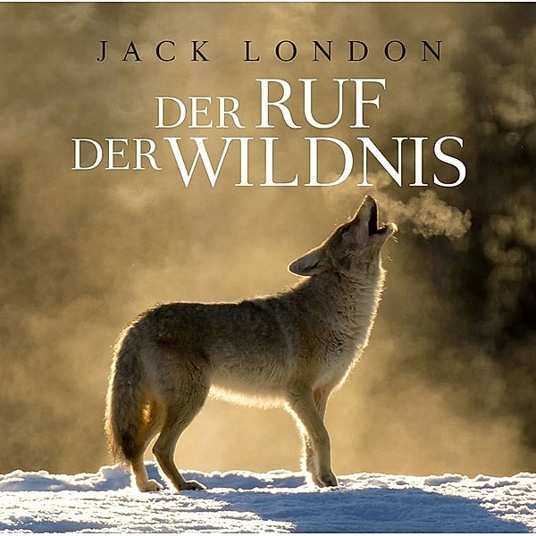 Der Ruf der Wildnis,1 Audio-CD, Jack London, M.E.Holzmann, T.TIP