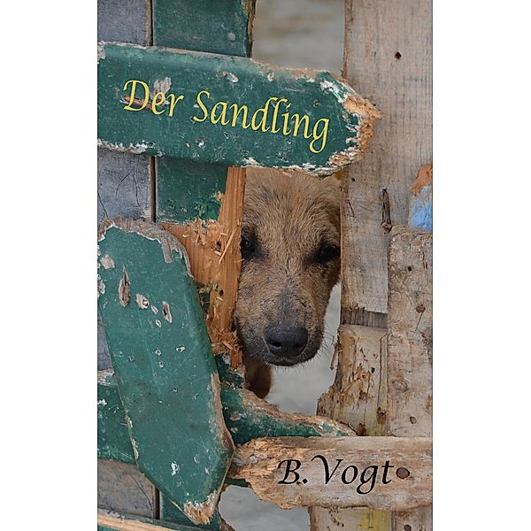 Der Sandling, Benjamin Vogt